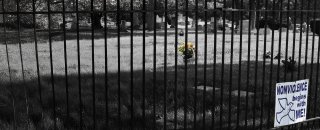 Where silence speaks