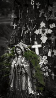 Whispers devotion