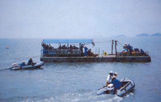 Diving platform over ths site