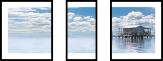 Npr tryptic